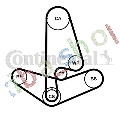 TIMING SET BELT + PULLEY + WATER PUMP FITS FOR HONDA ACCORD V ACCORD VI