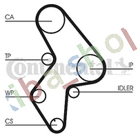 TIMING SET BELT + PULLEY + WATER PUMP FITS FOR CITROEN JUMPER XANTIA XSARA ZX