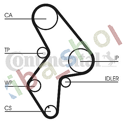 TIMING SET BELT + PULLEY + WATER PUMP FITS FOR CITROEN JUMPER XANTIA XSARA ZX