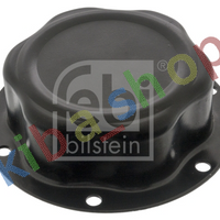 WHEEL HUB COVER WHEEL CAP